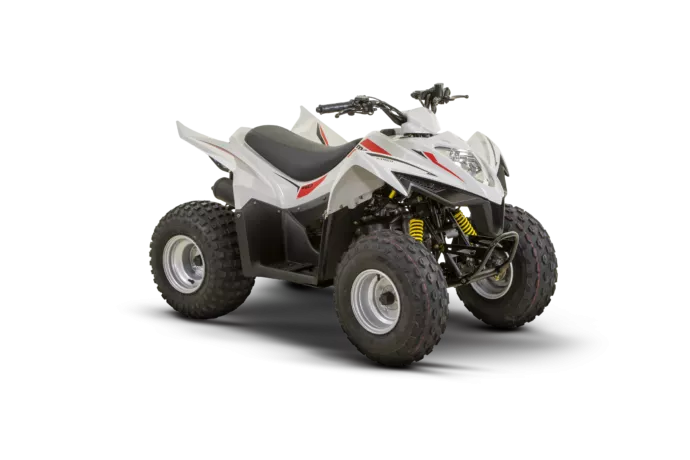 Quad Kymco Maxxer 90